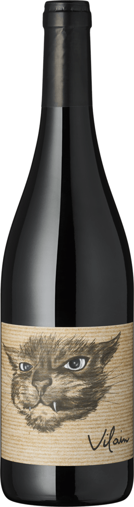 Flasche Rotwein
